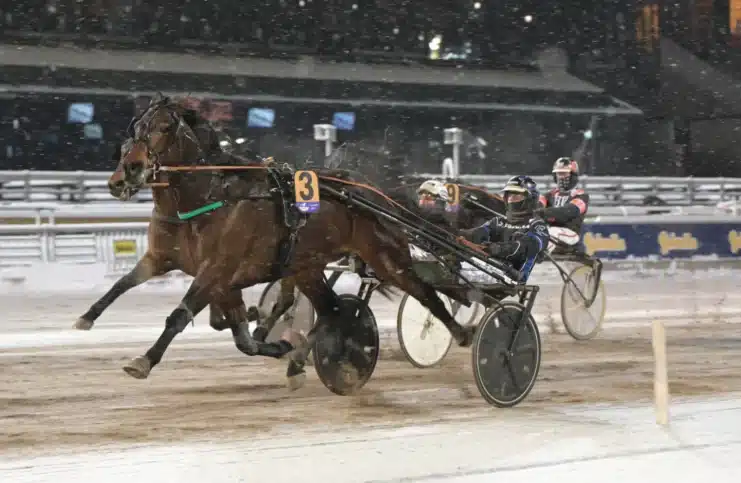 wellerman mal 1440x938 jpg