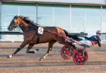 alvena roy malgang 1440x960 jpg