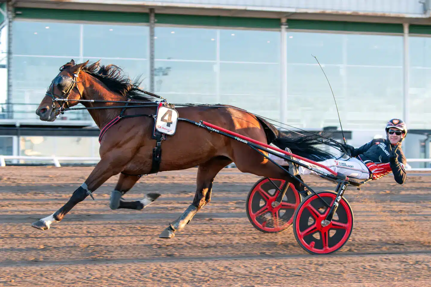 alvena roy malgang 1440x960 jpg