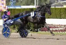 betting pacer heat 2 1440x960 jpg