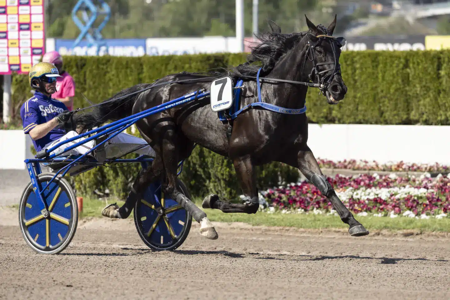 betting pacer heat 2 1440x960 jpg