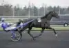 Borups Victory elitloppsgenrepade i Finland borups victory daniel wajersten 9421 1440x936 jpg