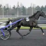 Borups Victory elitloppsgenrepade i Finland borups victory daniel wajersten 9421 1440x936 jpg