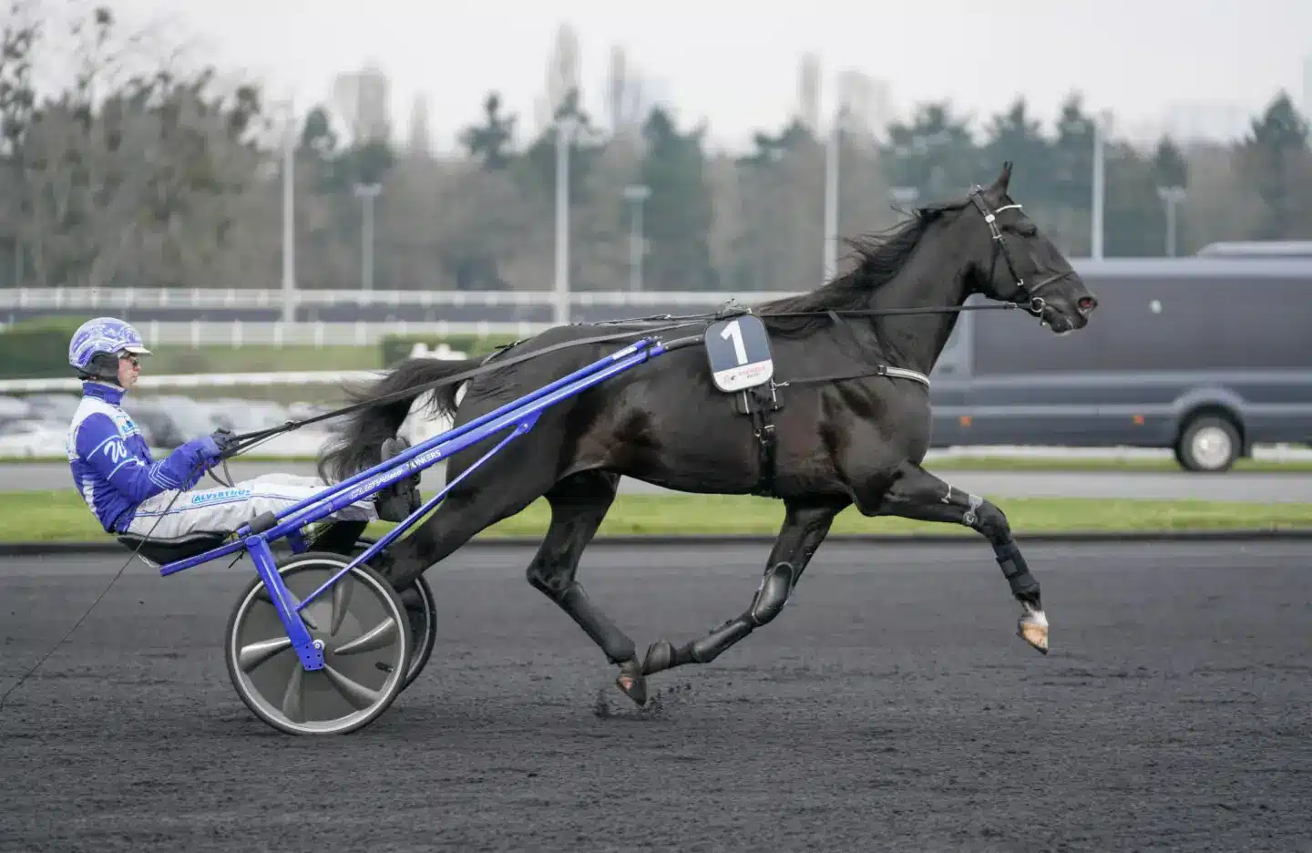 borups victory daniel wajersten 9421 1440x936 jpg