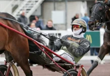 Allsvenska kuskligan: Titelförsvararen klättrar carl johan jepson 1440x1078 jpg