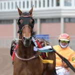 Inför V85 ÖREBRO: Gocciadoro hoppas på dubbla elitloppsplatser clarissa segerdefilerar 1440x1002 jpg