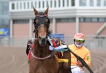 clarissa segerdefilerar 1440x1002 jpg