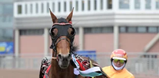 Inför V85 ÖREBRO: Gocciadoro hoppas på dubbla elitloppsplatser clarissa segerdefilerar 1440x1002 jpg