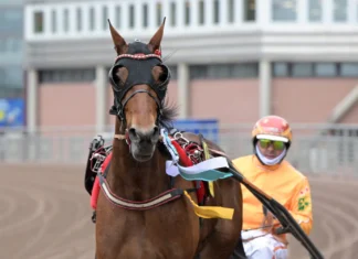 clarissa segerdefilerar 1440x1002 jpg