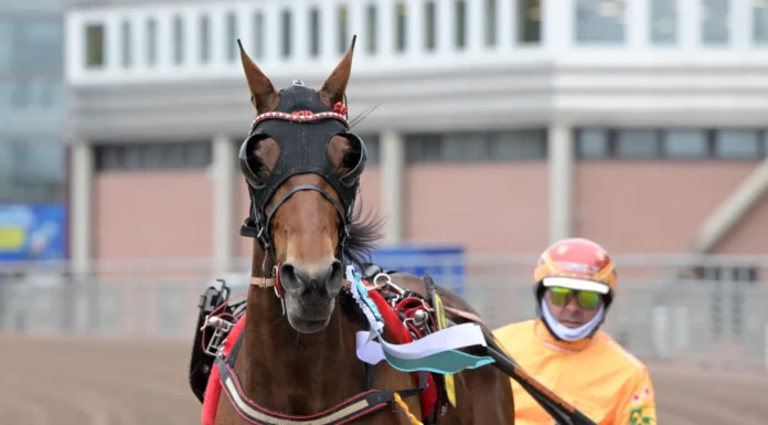 clarissa segerdefilerar 1440x1002 jpg