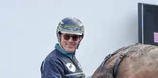 Lugauer ny ordförande i Travtränarnas Riksförbund conrad lugauer selar av hast 1440x950 jpg