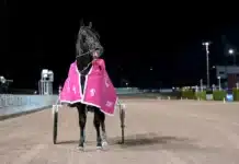 Inför V86: Upplagt för Don Fanucci i tredje E-loppet don fanucci zet efter segern 1440x910 jpg