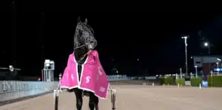 Inför V86: Upplagt för Don Fanucci i tredje E-loppet don fanucci zet efter segern 1440x910 jpg