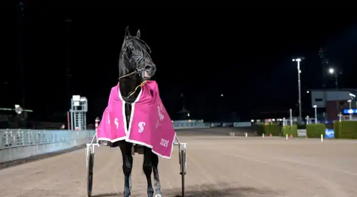 don fanucci zet efter segern 1440x910 jpg