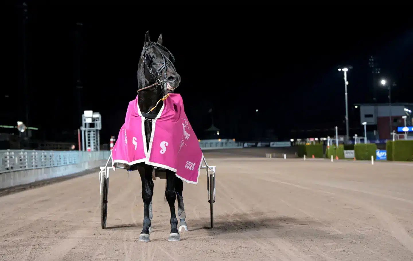 don fanucci zet efter segern 1440x910 jpg