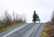 dream mine victor s sundgren. 02086 1440x960 jpg