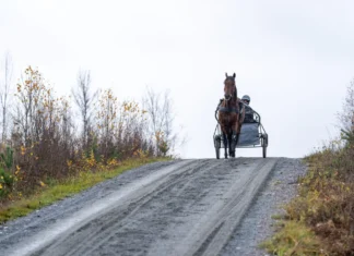 dream mine victor s sundgren. 02086 1440x960 jpg