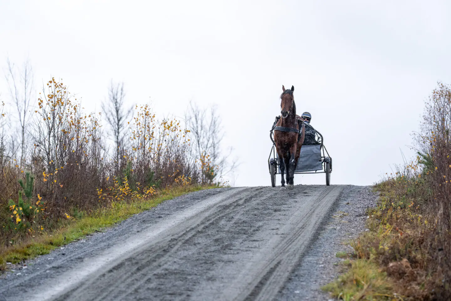 dream mine victor s sundgren. 02086 1440x960 jpg