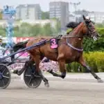 Franskt toppmöte i lördagens miljonlopp go on boy heat forsok 3 1440x961 jpg