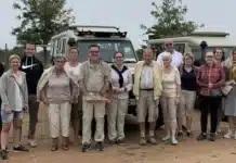 Från safari till miljonvinst – inga problem att sätta åttan hakunamatata beskuren jpg