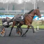 Jabalpur fick åttonde platsen i Elitloppet jabalpur gabriele gelormini 9269 1440x939 jpg