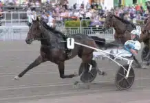 Inför V85 FÄRJESTAD (långfredagen): Vägen mot Elitloppet inleds i prinsens lopp keep asking 2 1440x950 jpg