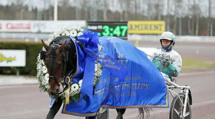 Redéns stjärna till Finlandia-Ajo keep asking def 2 1440x1001 jpg