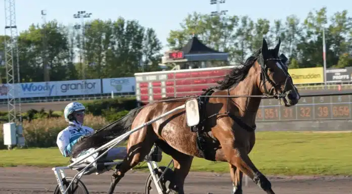 Inför V86: Nu blir det åka av för La Yuca la yuca 1440x1087 jpg