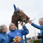 Inför V85 ÖREBRO: Sportcheferna rycker i Elisabeths hästar maroon day med elisabeth almheden och ganget 1440x960 jpg