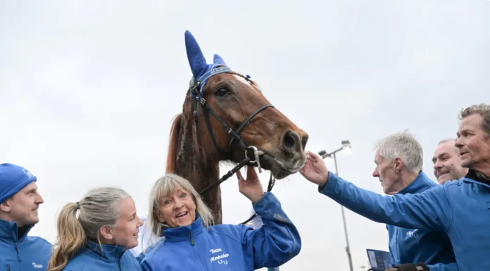 Inför V85 ÖREBRO: Sportcheferna rycker i Elisabeths hästar maroon day med elisabeth almheden och ganget 1440x960 jpg