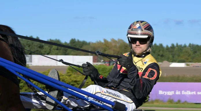 mats e djuse i sulky 2 1440x1002 jpg