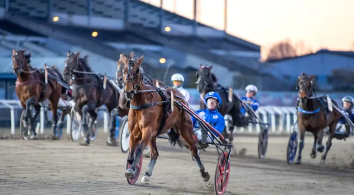 nilla lane malgang2 1440x960 jpg