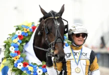 Inför V85 JÄGERSRO: Sista säsongen för Önas Prince – ”Är supernöjd” onas prince pris 853 1 1440x1072 jpg