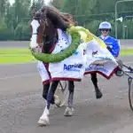 Kallblodsstjärnan Overvik Prinsen hittad död i sin box overvik prinsen def 1440x967 jpg