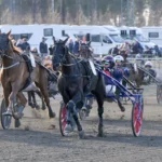 Jan spikade enprocentare – vann över miljonen på V85 pedal to d metal mal 1440x875 jpg