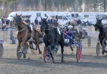 pedal to d metal mal 1440x875 jpg