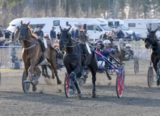 pedal to d metal mal 1440x875 jpg