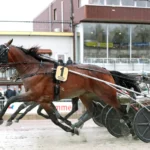 Inför V85 BOLLNÄS: Norsk optimism: ”Inte alls förvånad om han vinner” petho mal 1440x921 jpg