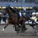 Inför V86: ”Lillprinsen” kan göra vårfavorit i repris prince of euro mal 1440x859 jpg