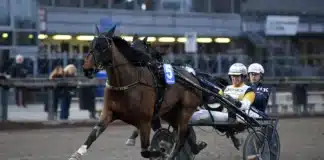 Inför V86: ”Lillprinsen” kan göra vårfavorit i repris prince of euro mal 1440x859 jpg