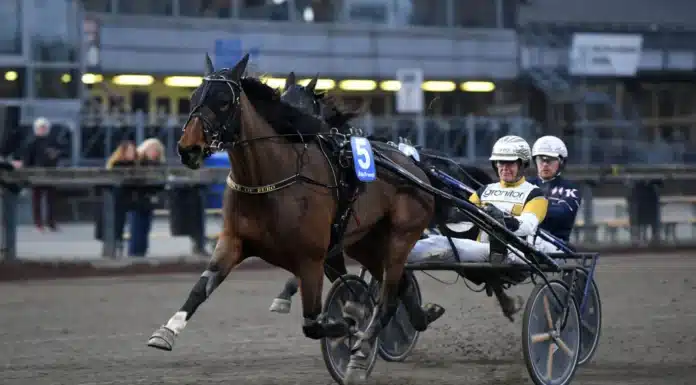 prince of euro mal 1440x859 jpg