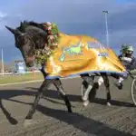 Resultat & eftersnack V85 ÖREBRO 25 april 2026 speed change segerdefilerar 1440x1004 jpg