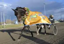 speed change segerdefilerar 1440x1004 jpg