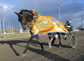 speed change segerdefilerar 1440x1004 jpg