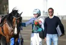 wise guy pris 1440x934 jpg