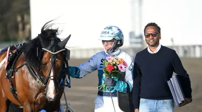 wise guy pris 1440x934 jpg