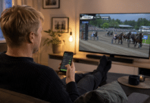 Hästen analyseras i detalj – operatören aldrig: Därför vet svenska spelare allt om loppet och ingenting om spelbolaget aot