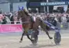 Inför V85: Elitloppsgenrep i Tingsryd a fair day 1440x1034 jpg
