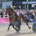 Inför V85: Elitloppsgenrep i Tingsryd a fair day 1440x1034 jpg