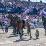 Eftersnack Elitloppssöndagen: 1.07,1 – Allegiant utomjordisk i Elitloppet 2026 allegiant mal elitloppet 1440x830 jpg